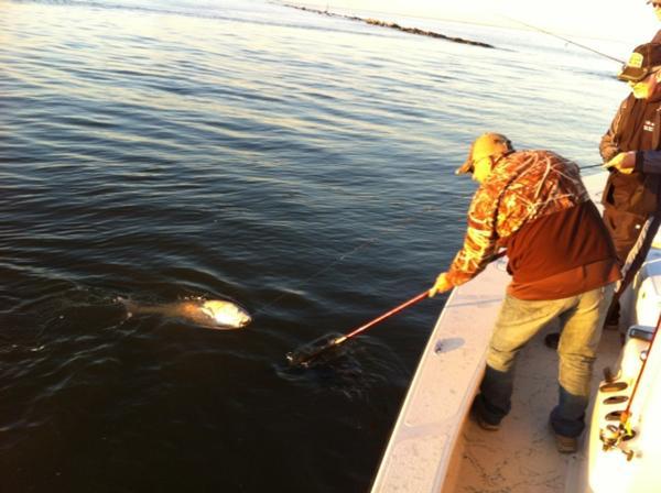 Inshore Fishing Photo