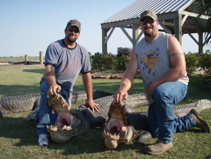 Alligator Hunting Photo